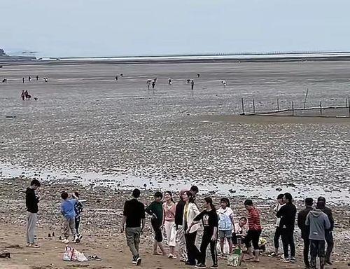 赶海直播间爆料视频下载