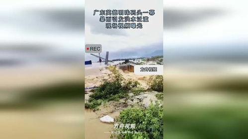 英德洪水爆料视频最新,最新爆料视频揭示惊人现场！